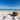 Coconut Oil vs. Sunless Tanning: What’s Really Best for Your Skin?