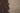 South Seas Skin Care Roast Collection Image for Banner At-Home Spa Exprience